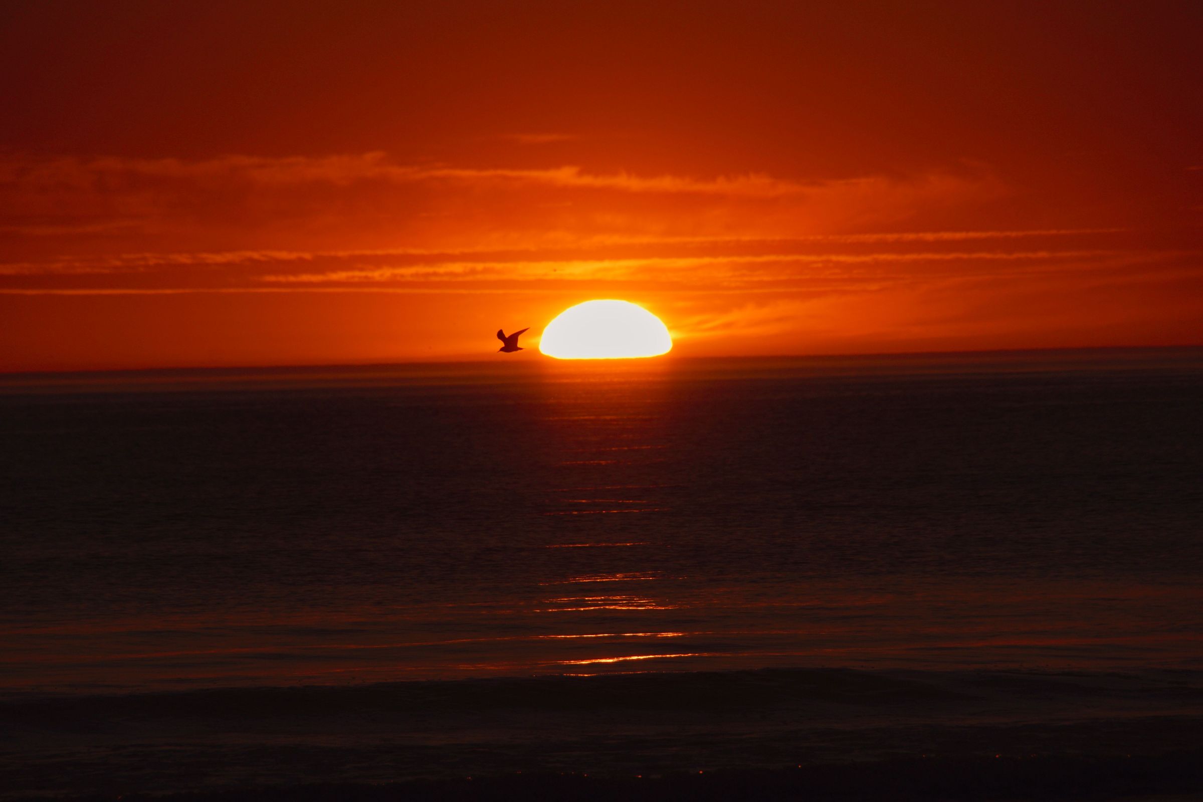 Sonnenuntergang Vejers Strand